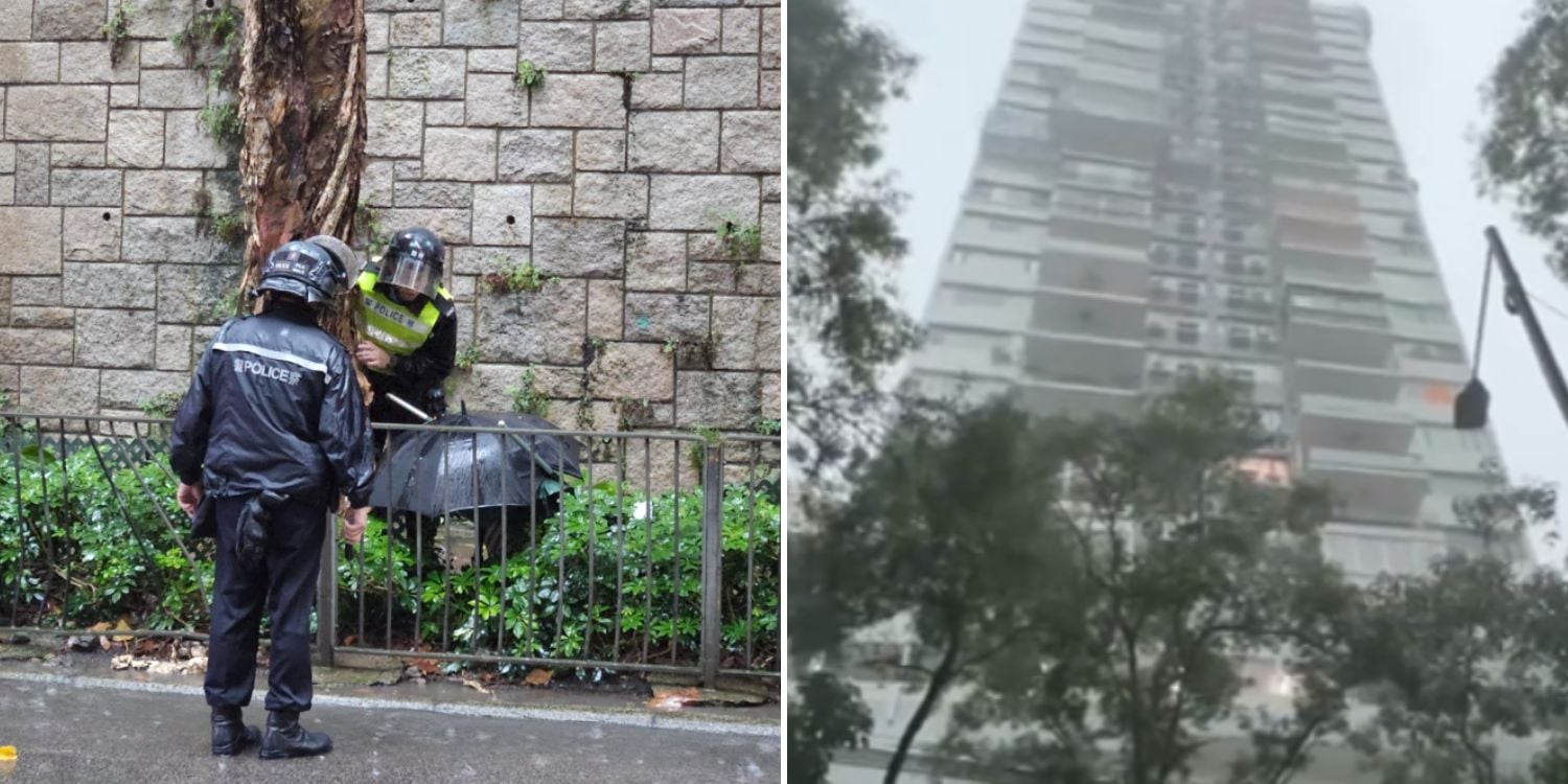 Dismembered body found in upscale Hong Kong neighbourhood with head inside torso