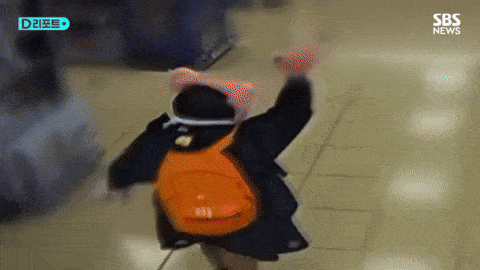 cat woman south korea