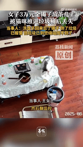 cat gold bracelet bin