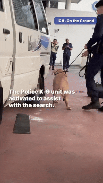 woodlands checkpoint vapes