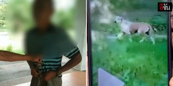 man sexually harassing dog