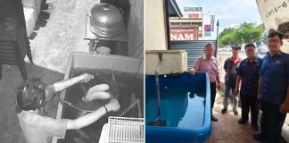 man steals fishes restaurant