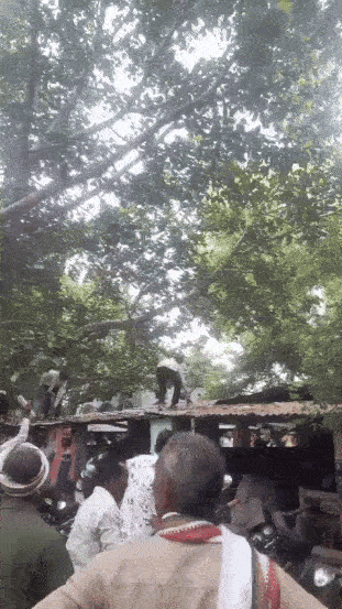 monkey cash crowd rain