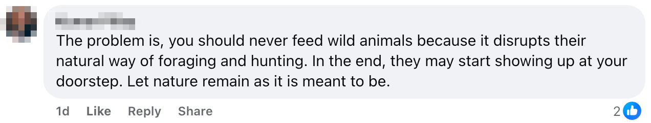 monkeys leftover rice