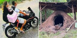 parents newborn charcoal kiln