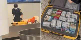 police dog suitcase snacks