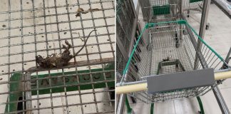 rat supermarket malaysia