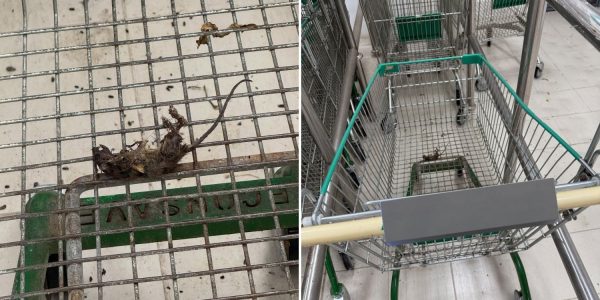 rat supermarket malaysia