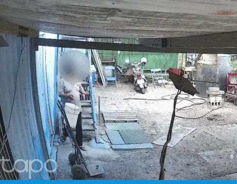 sheep poisoned landlord (2)