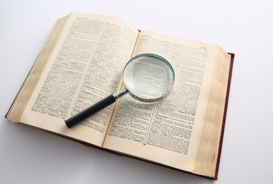 skibidi cambridge dictionary