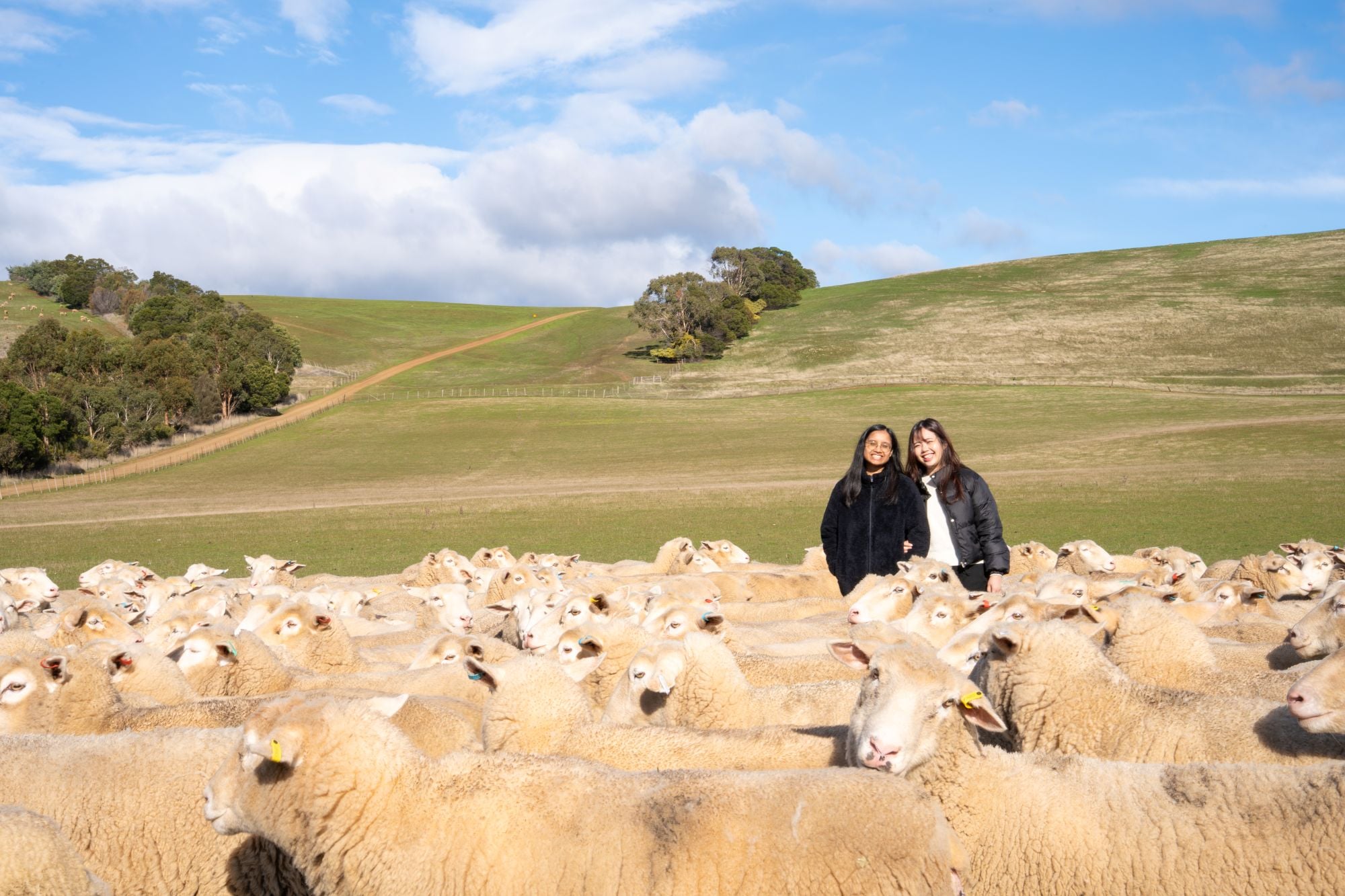 student tasmanian winternship