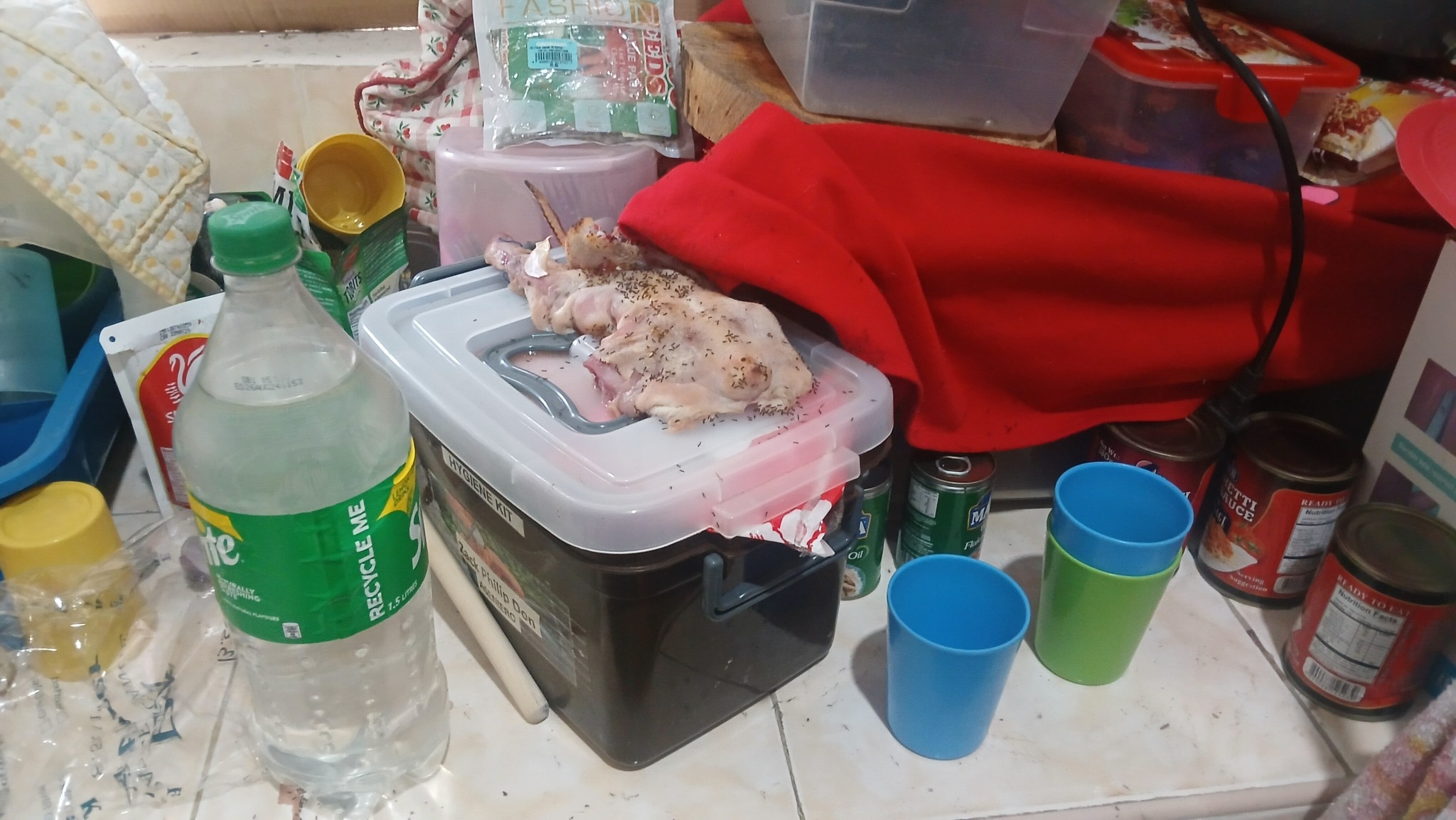 thief eats chicken daycare (3)