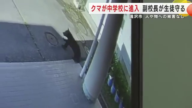 vice-principal bear students cctv