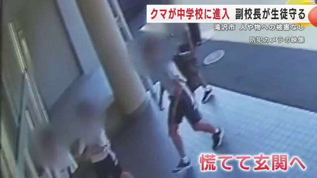 vice-principal bear students practice