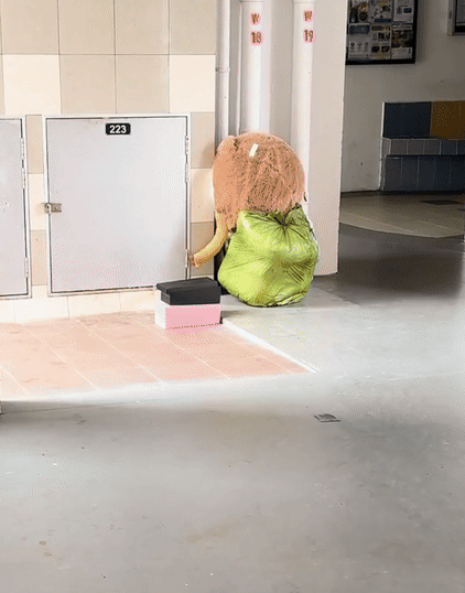 ghost month void deck