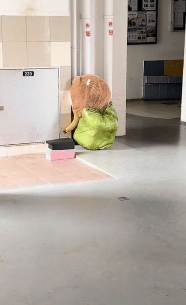 ghost month void deck