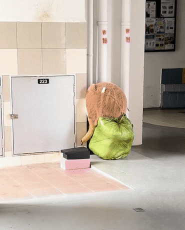 ghost month void deck