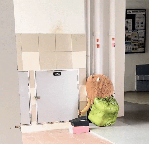 ghost month void deck