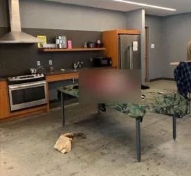 cornell students bear