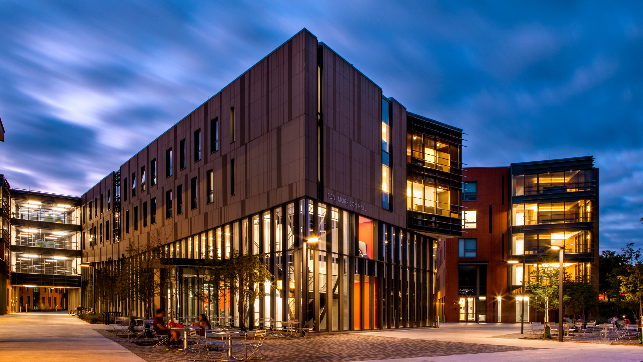 cornell students bear