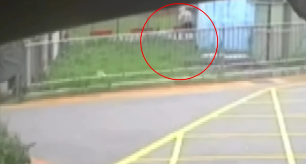 student stabbed 31 times