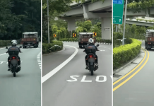 bird motorcyclist