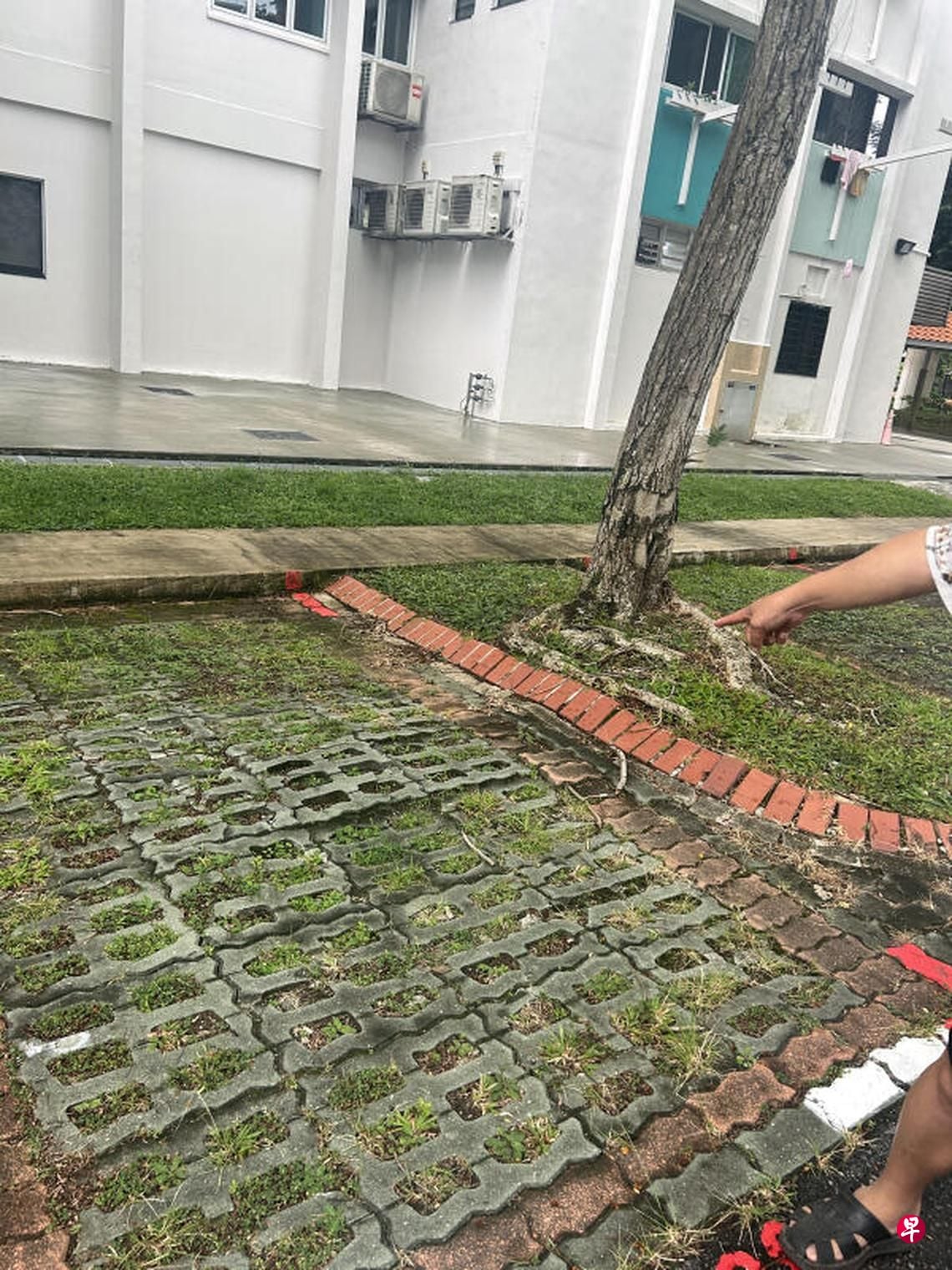 yishun carpark tiles