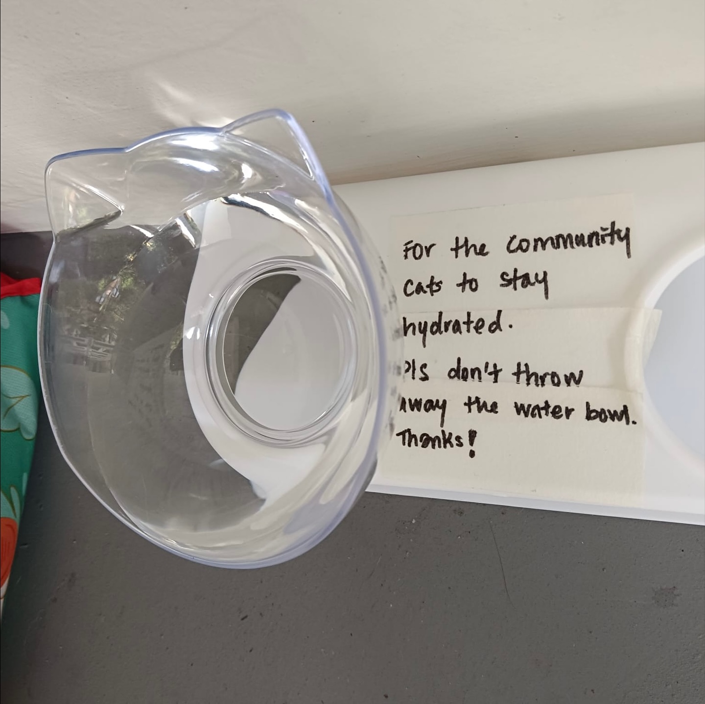 cat houses bukit batok