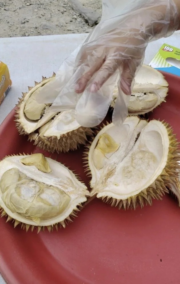 china tourist retro durian