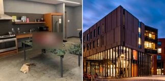 cornell students bear