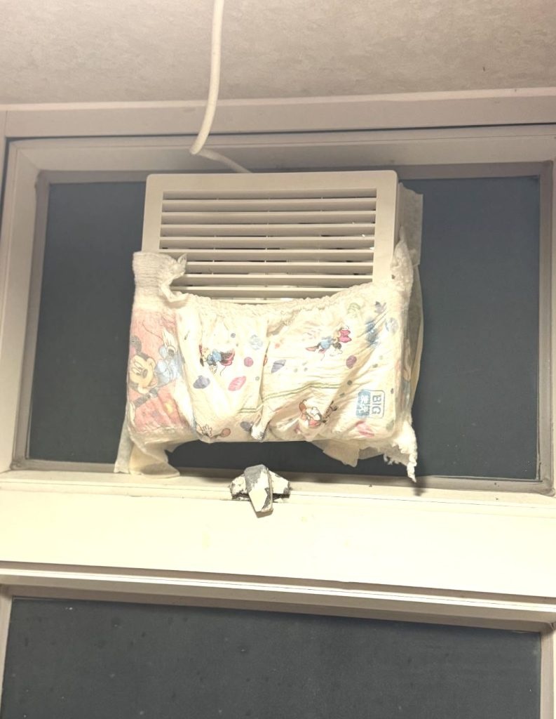 diapers pads ragasa AC