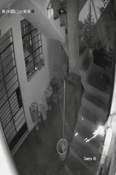 dog saves family dynamite attempt