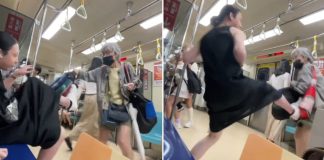 elderly woman kicked mrt