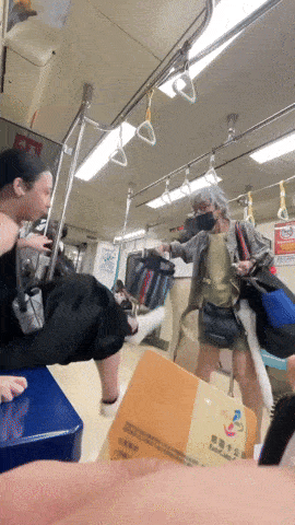 elderly woman kicked mrt