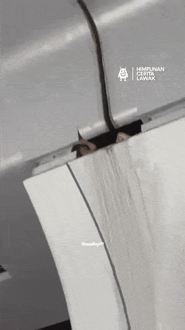 man trapped mrt pillar