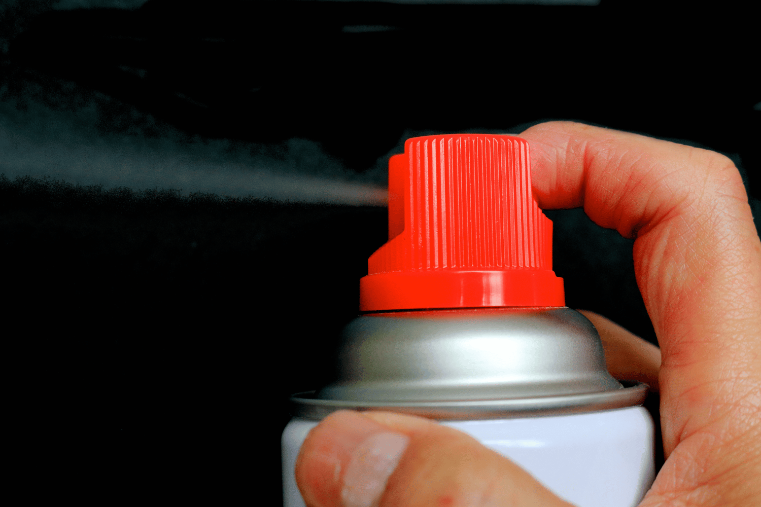 landlady insecticide