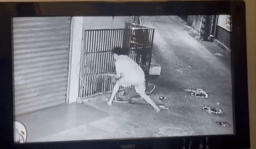 man stabs dog metal pipe (1)