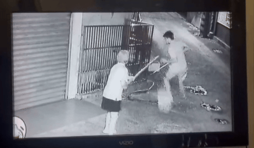 man stabs dog metal pipe (2)