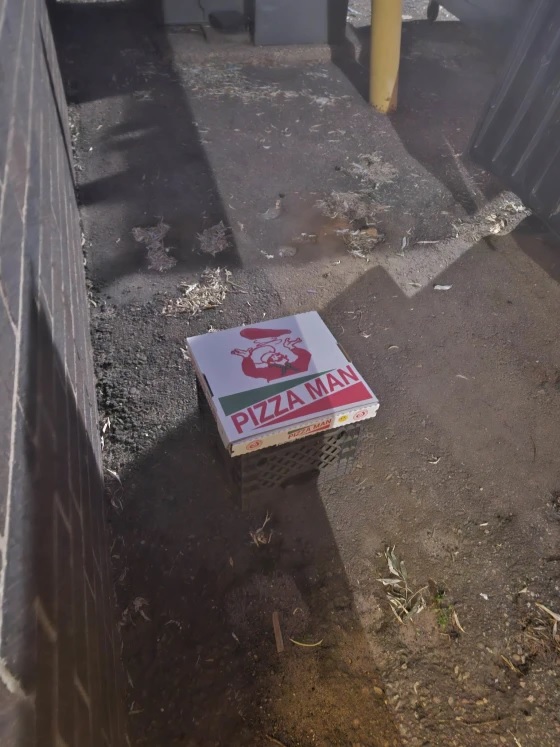 pizza shop dumpster free alley
