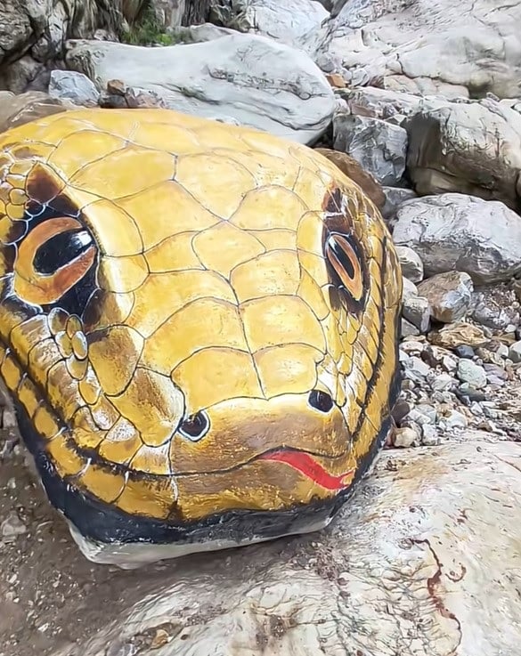 rock painted python tongue