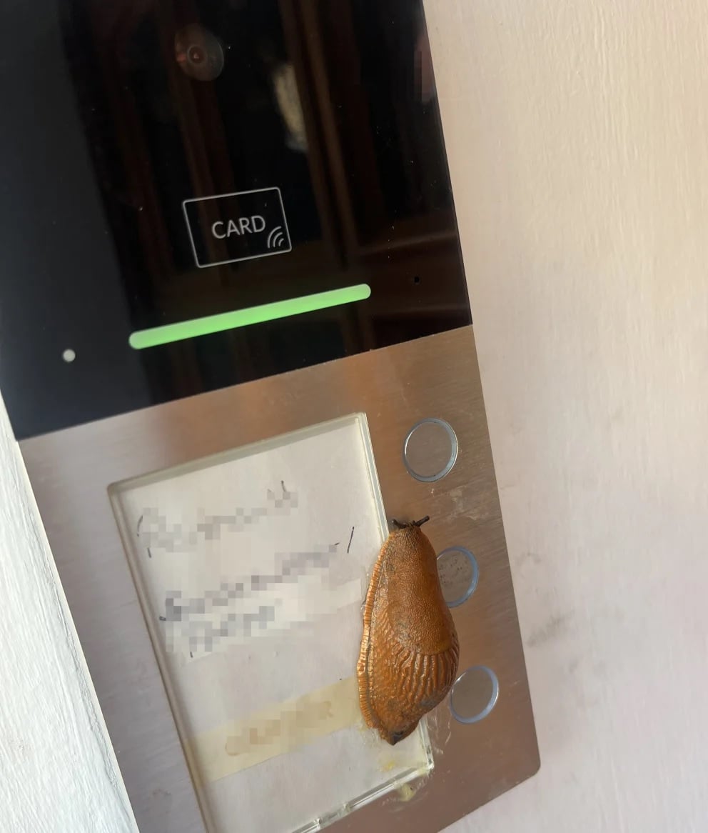 slug doorbell residents evidence