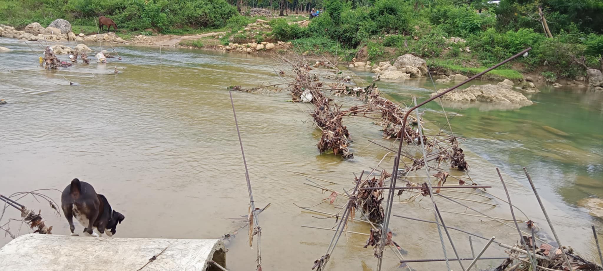 students flash flood (1)