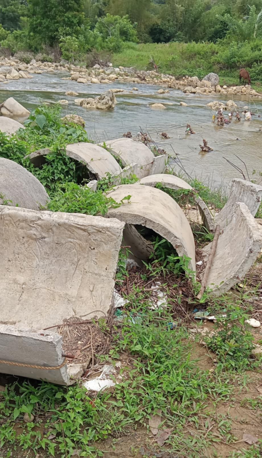 students flash flood (2)