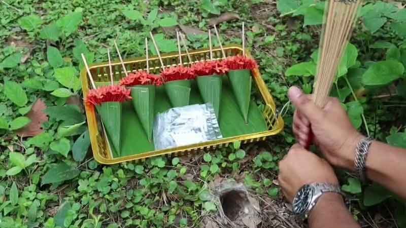 tarantula numbers lottery (3)
