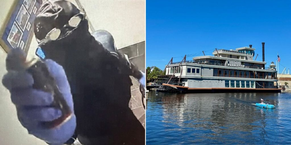Thief in US robs waterside Disney restaurant in swimming cap & goggles