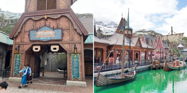 tourist dies hong kong disneyland