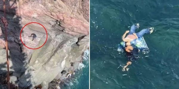 tourist saves drowning woman (1)