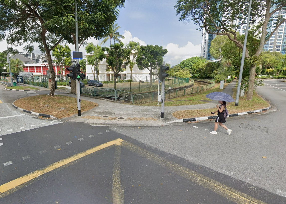 spitting cobra school