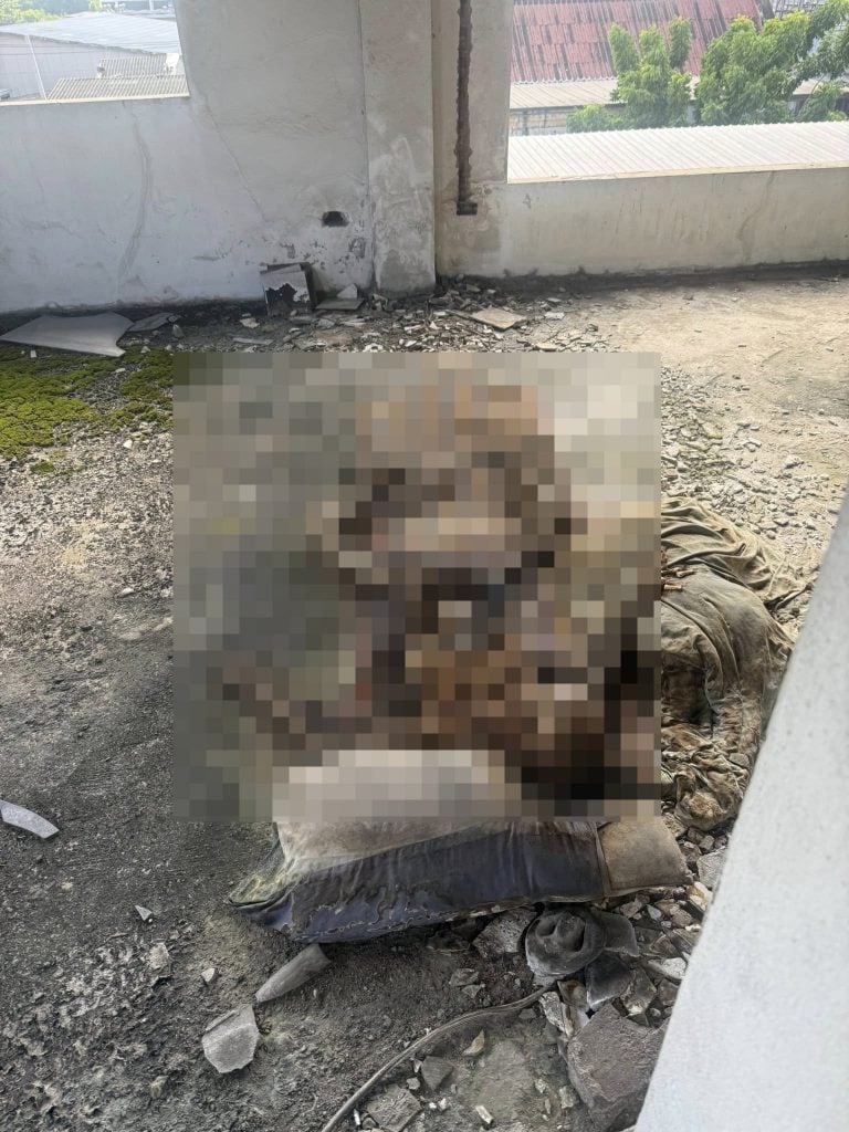 human skeleton lost phone