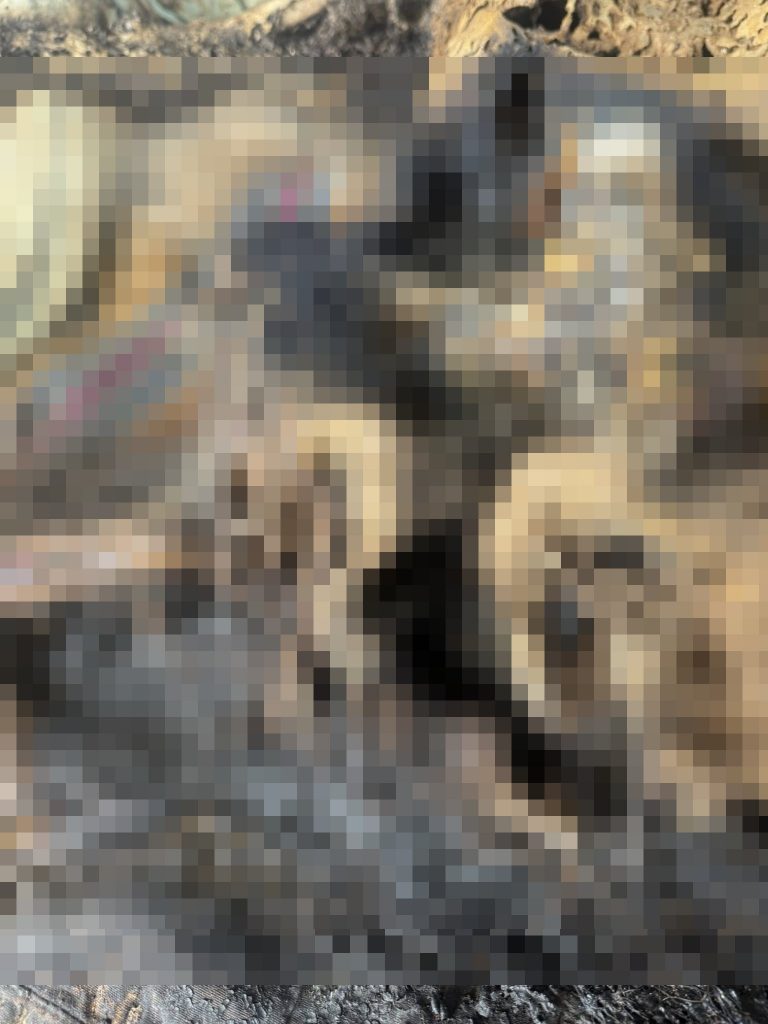 human skeleton lost phone